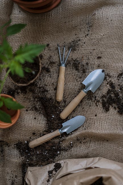A close-up view of a gardening scene featuring a textured burlap sheet laid out on the ground, with freshly disturbed dark soil scattered across it. Three small hand tools—a garden fork, a trowel, and a transplanting trowel, all with light wooden handles and grey metal working ends—are arranged on the soil, indicating recent planting or soil preparation. To the left, partially visible, are terracotta pots containing leafy green plants, suggesting ongoing garden maintenance or planting activity. The environment appears well-lit with natural daylight, emphasizing the textures of the soil, tools, and plant foliage. This scene exemplifies careful garden care work, consistent with services offered by Gardeners Brompton, focusing on garden maintenance, planting, and landscaping efforts on the Old Brompton Road.