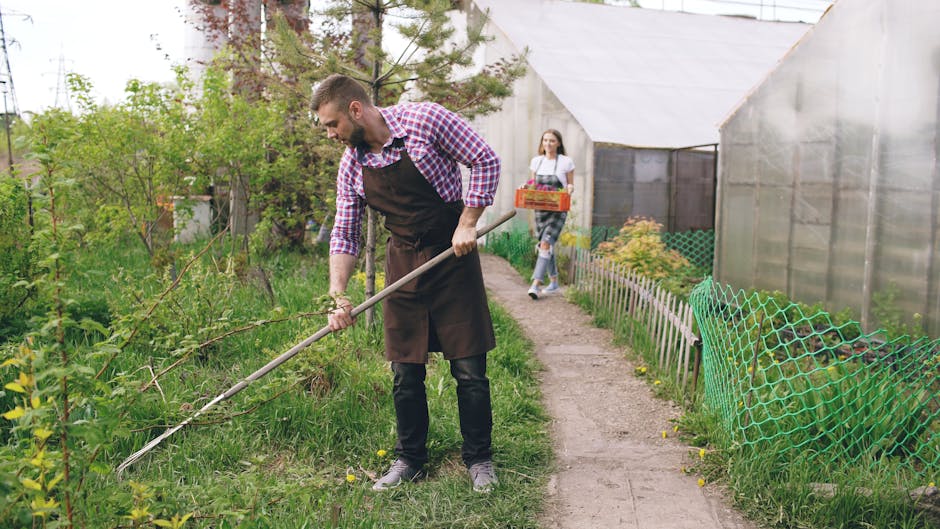 A close-up view of a gardening scene featuring a textured burlap sheet laid out on the ground, with freshly disturbed dark soil scattered across it. Three small hand tools—a garden fork, a trowel, and a transplanting trowel, all with light wooden handles and grey metal working ends—are arranged on the soil, indicating recent planting or soil preparation. To the left, partially visible, are terracotta pots containing leafy green plants, suggesting ongoing garden maintenance or planting activity. The environment appears well-lit with natural daylight, emphasizing the textures of the soil, tools, and plant foliage. This scene exemplifies careful garden care work, consistent with services offered by Gardeners Brompton, focusing on garden maintenance, planting, and landscaping efforts on the Old Brompton Road.